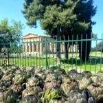 Il Borgo di Gromola si riempie di cultura e eventi culinari dal  questa sera alle ore 19