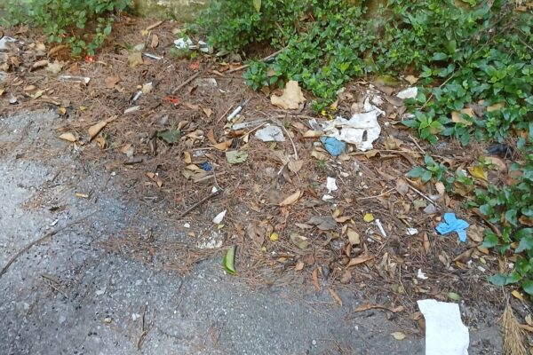 Senatore: “Discariche di siringhe in pieno centro. Intervenga subito Salerno Pulita”